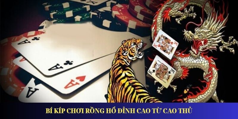 Rồng Hổ – Trò chơi hấp dẫn nhất tại Casino online Bí kíp chơi rồng hổ đỉnh cao từ cao thủ
