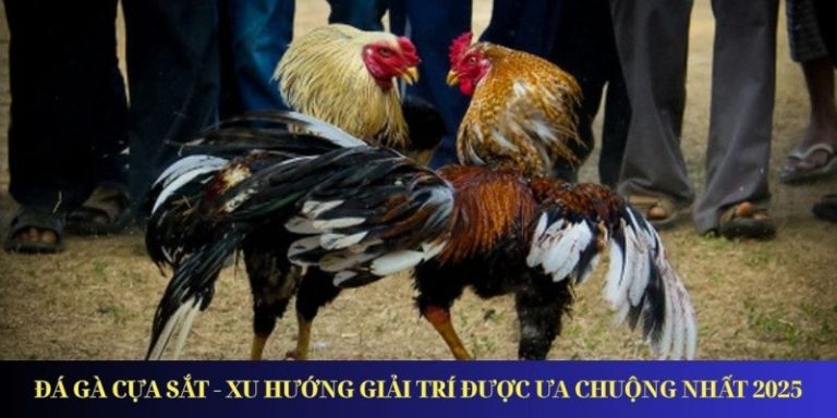 Đá Gà Cựa Sắt – Xu Hướng Giải Trí Được Ưa Chuộng Nhất 2026